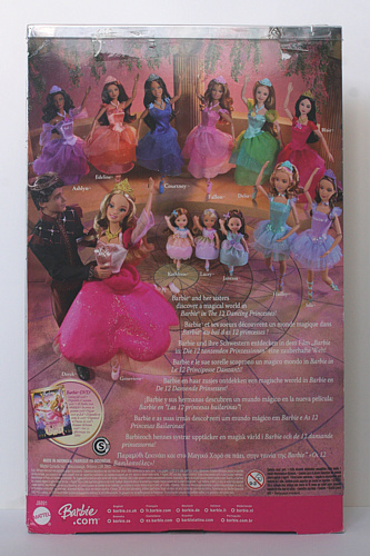 Ken as Derek,"12 Dancing Princesses" Box - Back