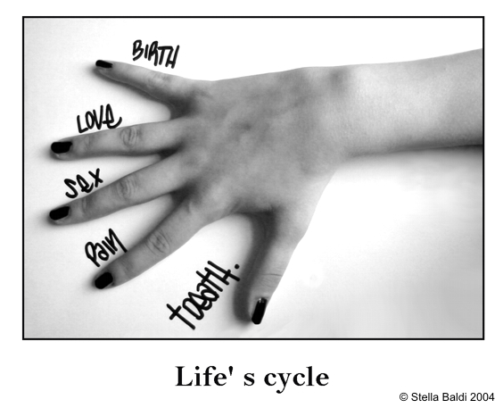 Life's Cycle